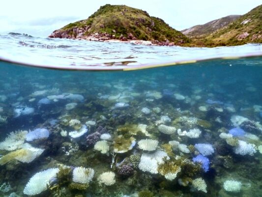 Vorfall unweit des Great Barrier Reef
