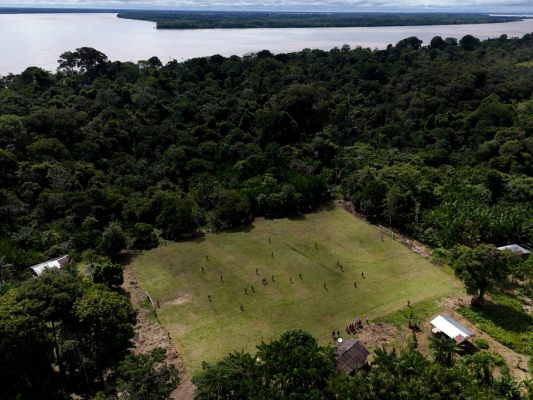 Schutz der Wälder auch bei COP30 zentrales Thema