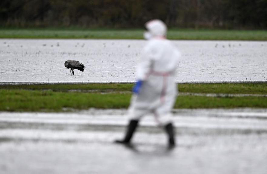 ©AFP