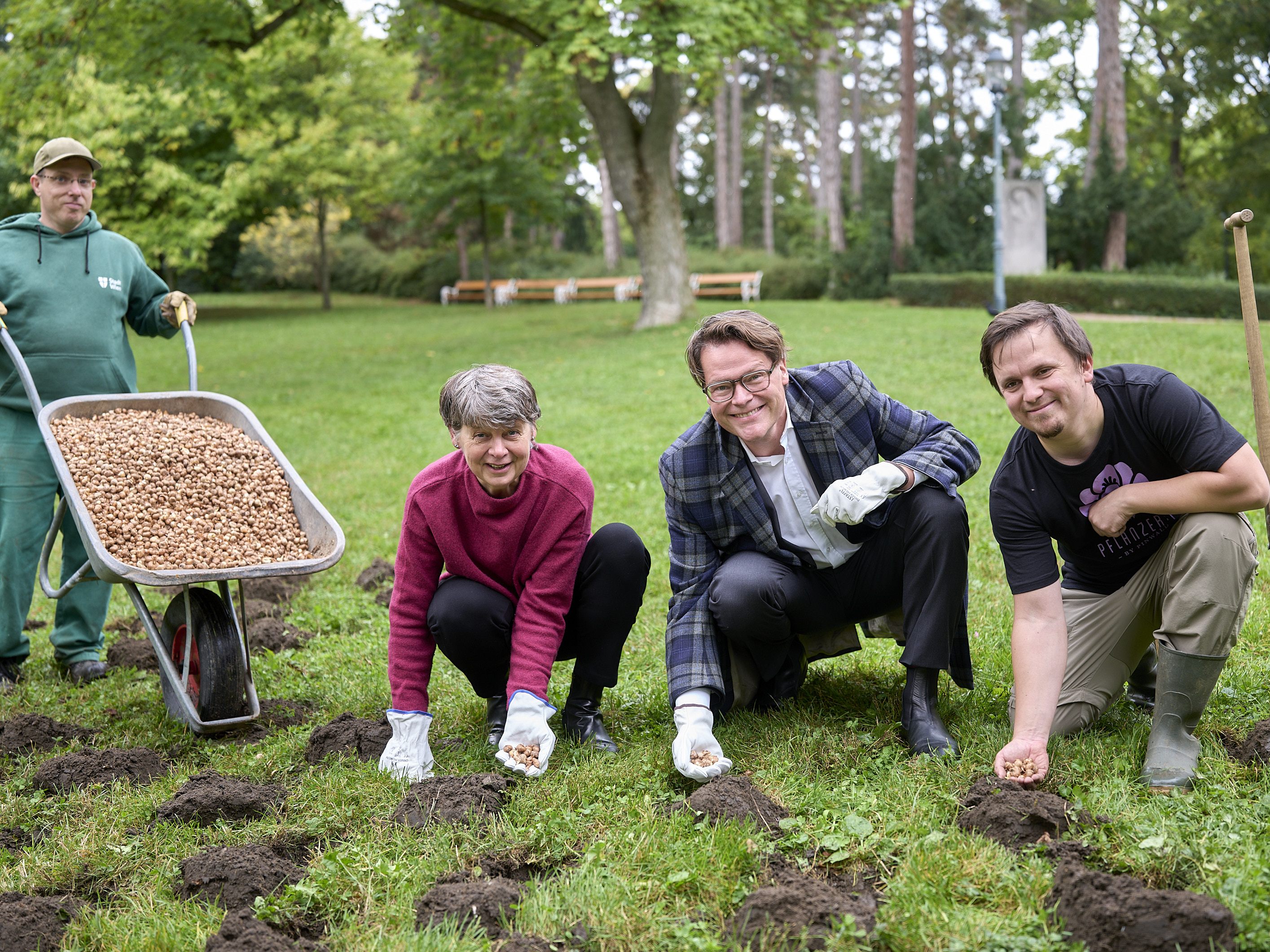 Die Wiener Stadtgärten pflanzen über 590.000 Blumenzwiebeln für ein buntes Frühjahr. Die Wiener Stadtgärten pflanzen über 590.000 Blumenzwiebeln für ein buntes Frühjahr.