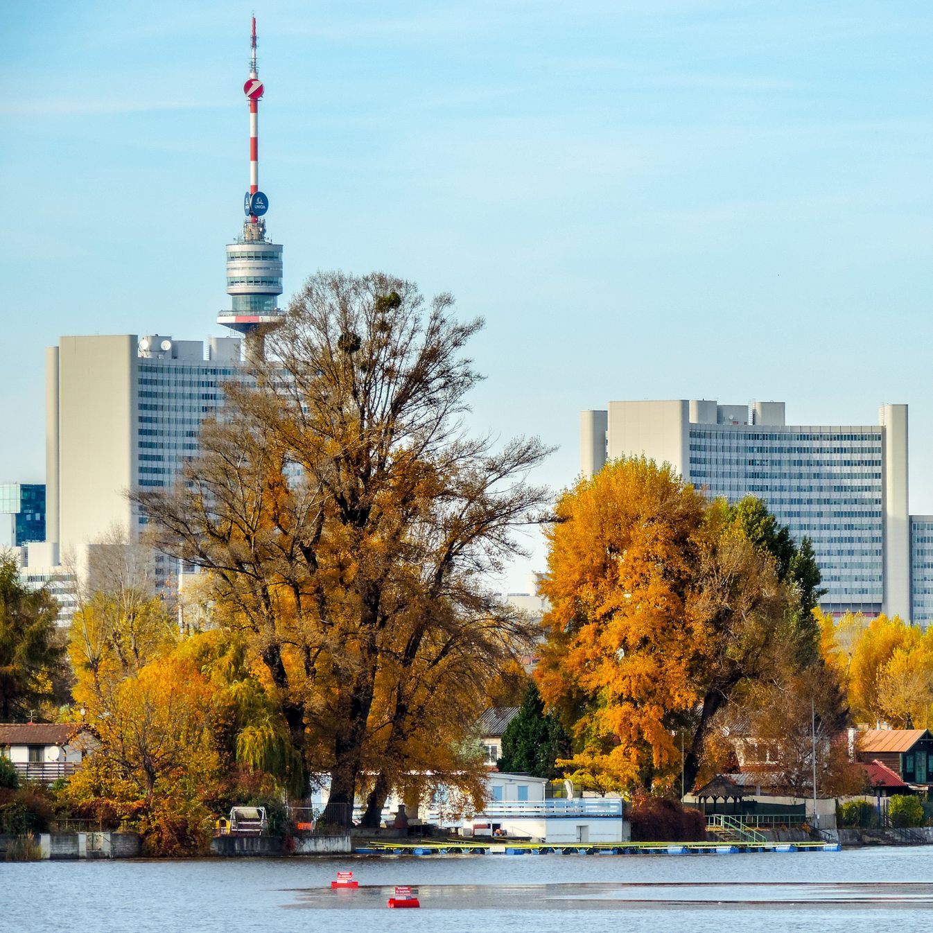 Herbstliche Donauinsel-Bilanz: Saisonende für die Copa-Cruise und die Mähschafe.