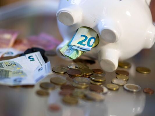 Auf dem Bild sieht man ein Sparschwein, Geldscheine und Geldmünzen.