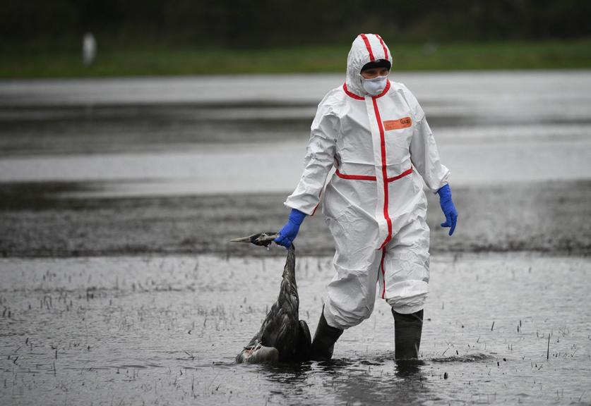 ©AFP