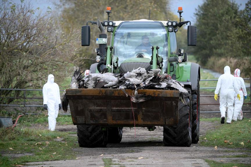©AFP