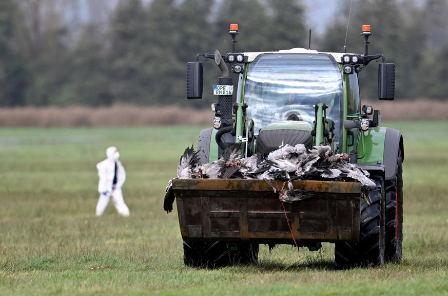 ©AFP