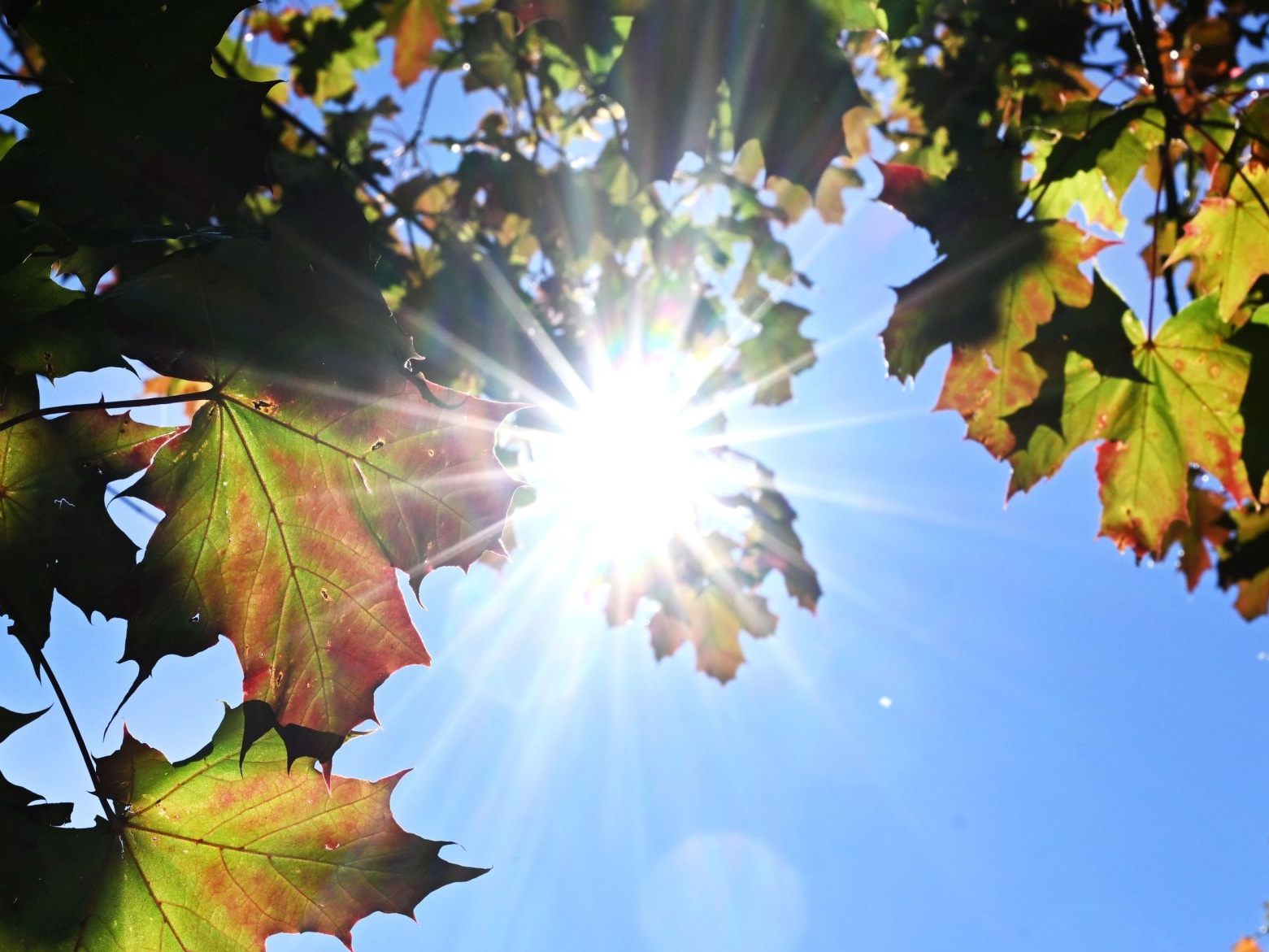 Ab Mittwoch wird das Wetter wieder sonniger.