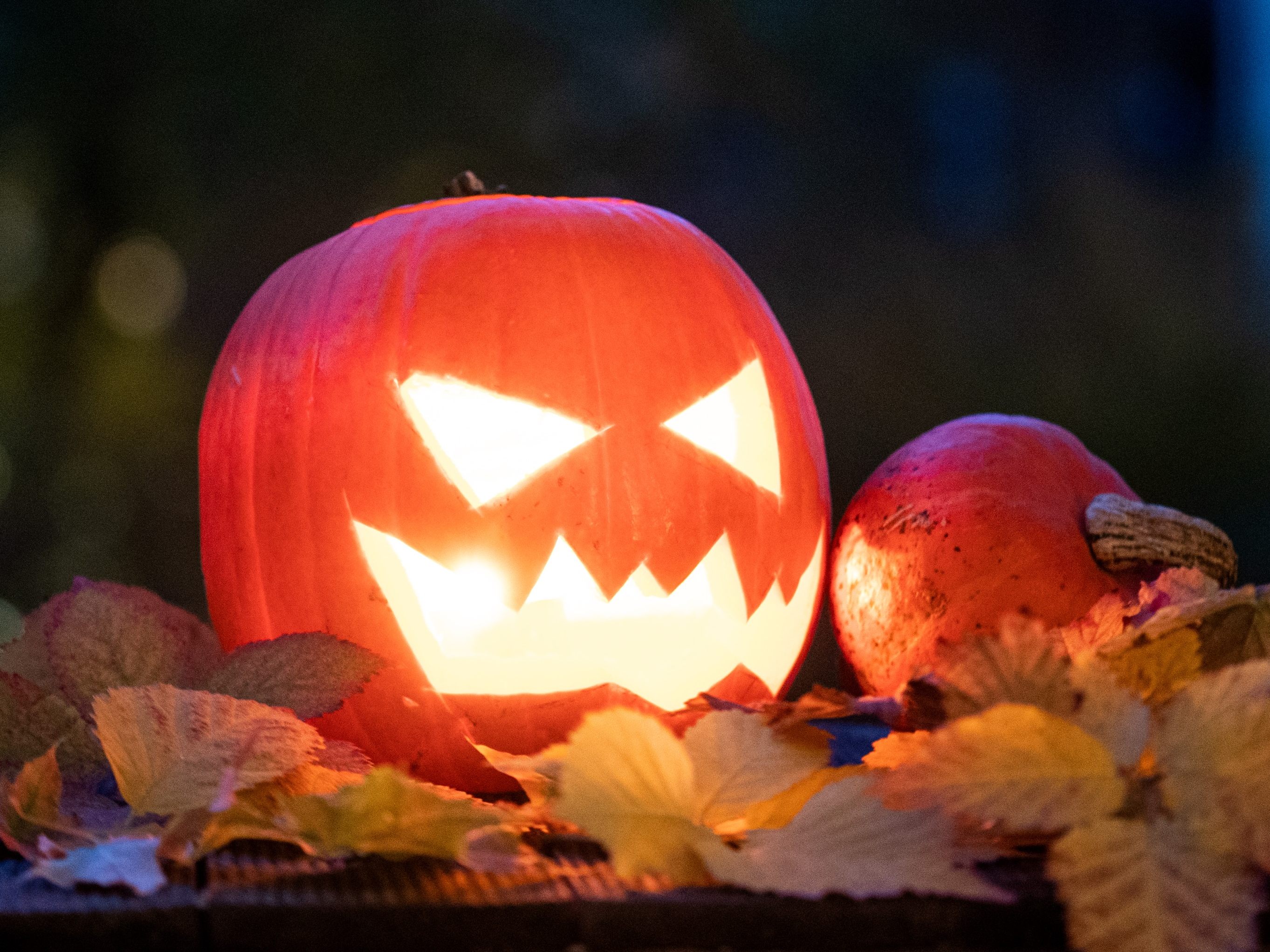 Halloween bringt dem Handel rund 90 Mio. Umsatz.