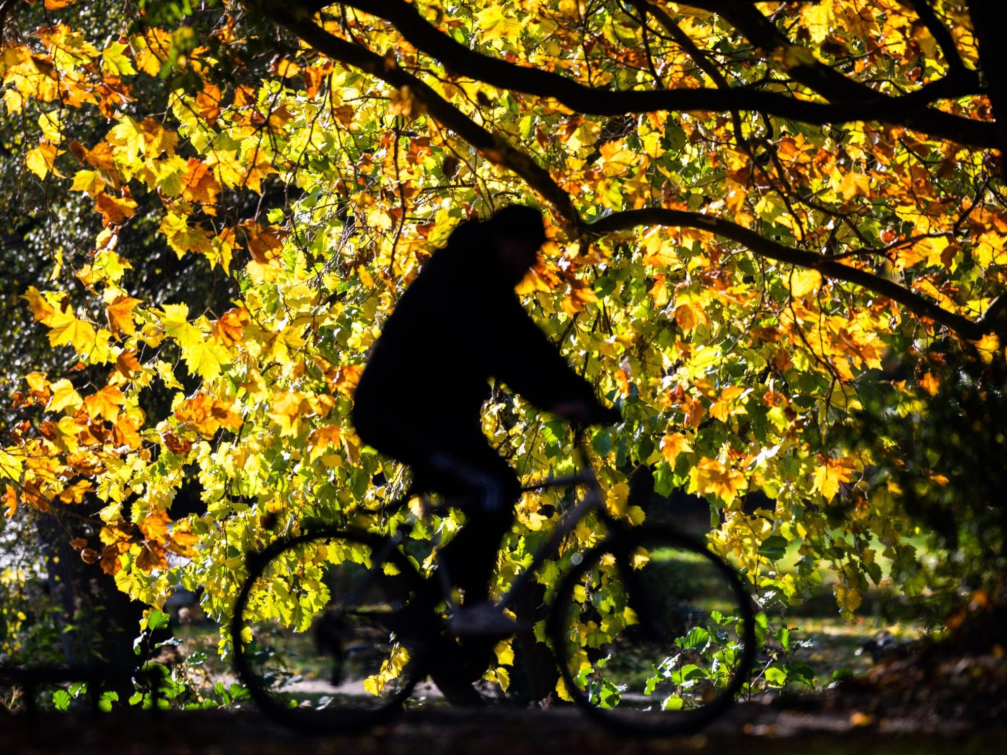Im September wurden überdurchschnittlich viele Sommertage verzeichnet.