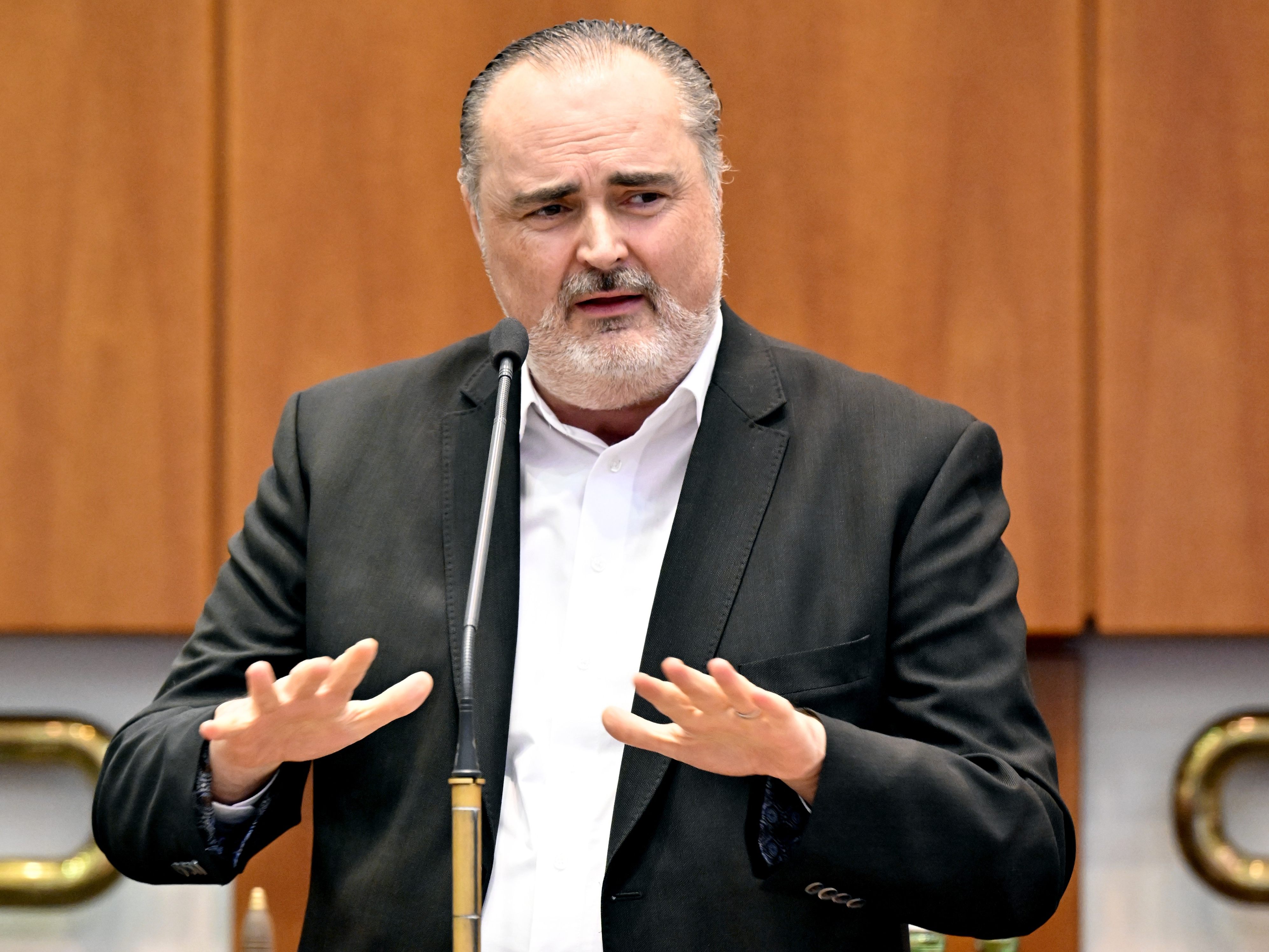 Burgenlands Landeshauptmann Hans Peter Doskozil.