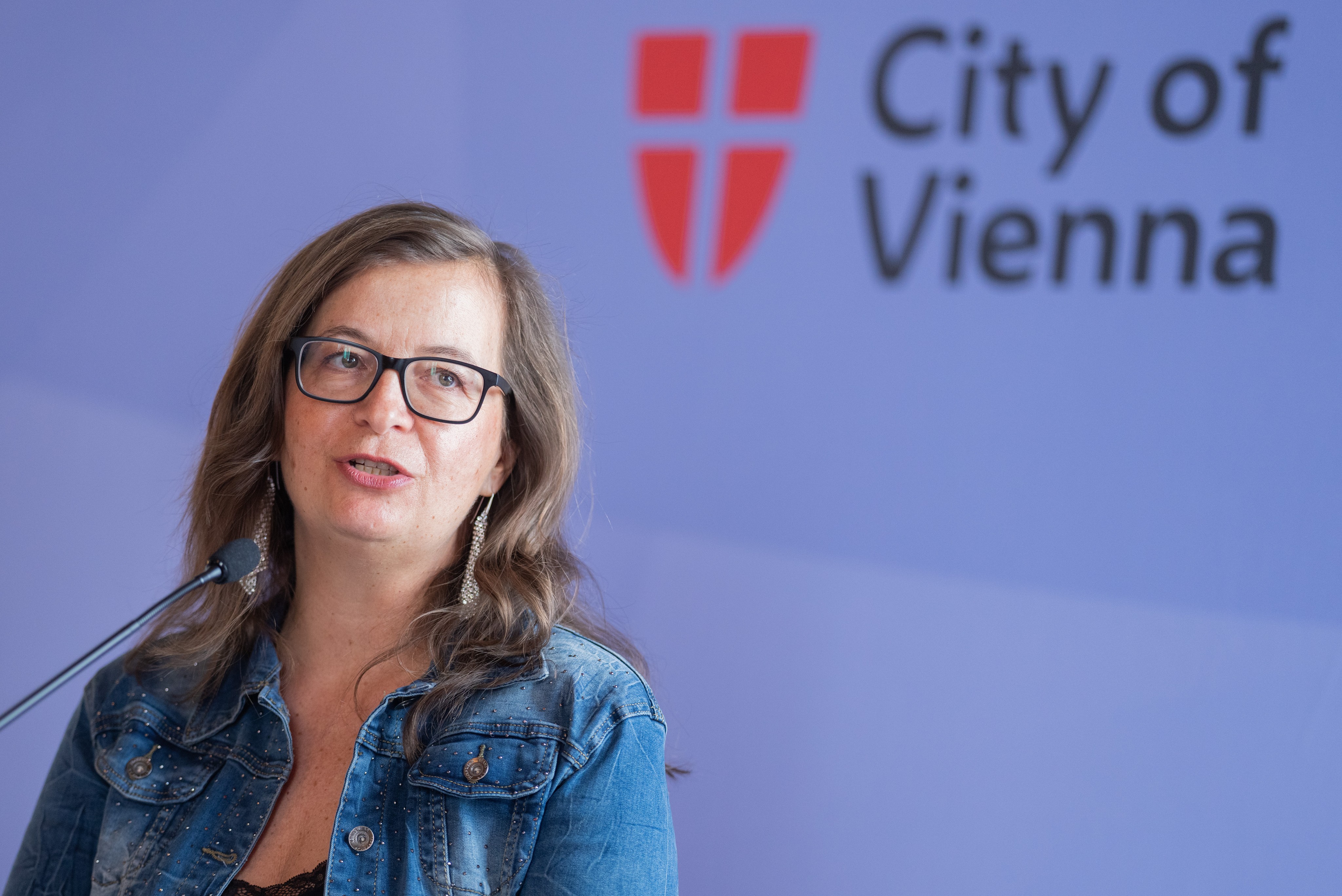 StVO-Novelle - Verkehrsberuhigung in Wiener Innenstadt im Anmarsch?