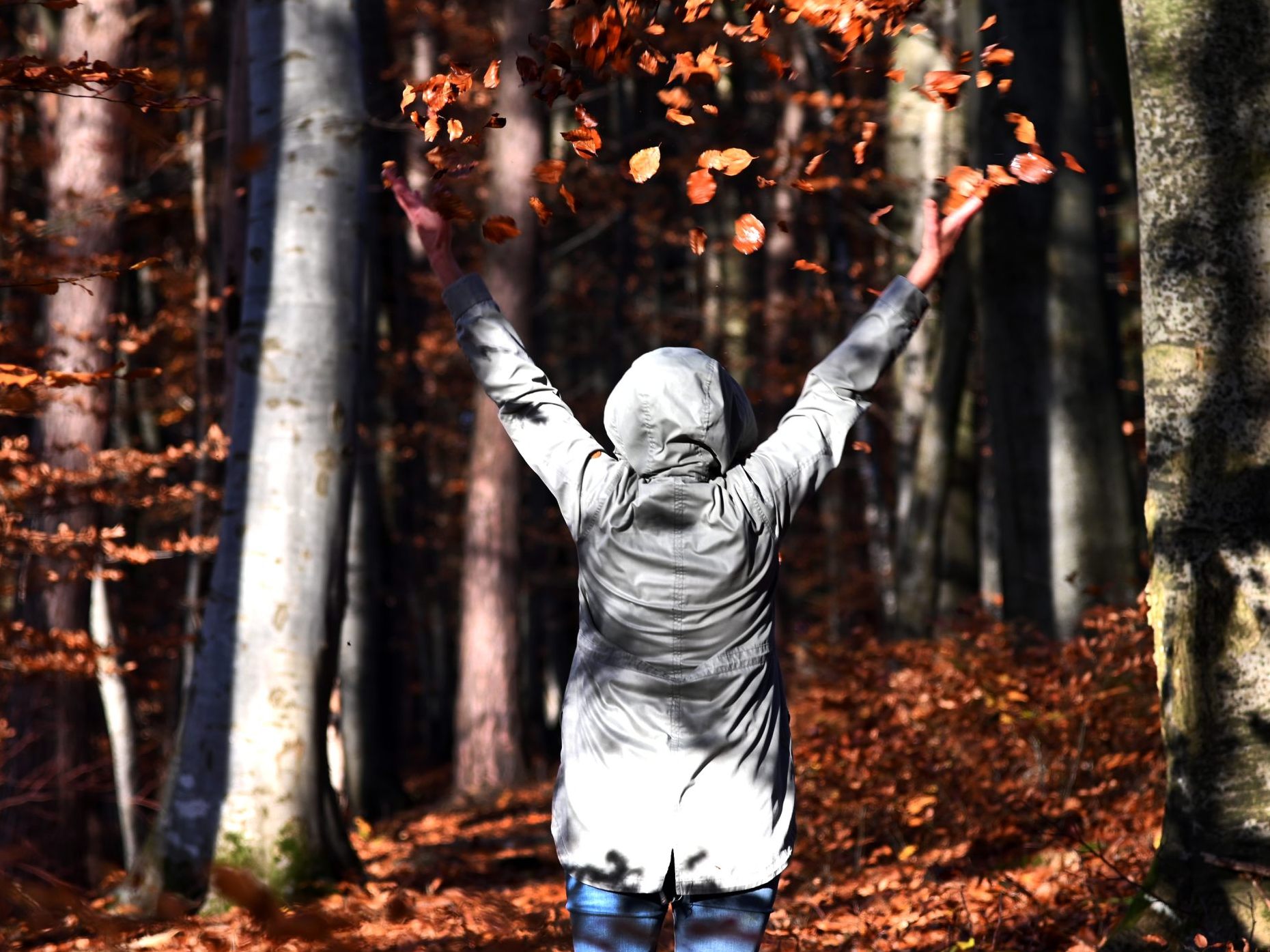 Es wird herbstlich: Regen und Wind ziehen übers Land.
