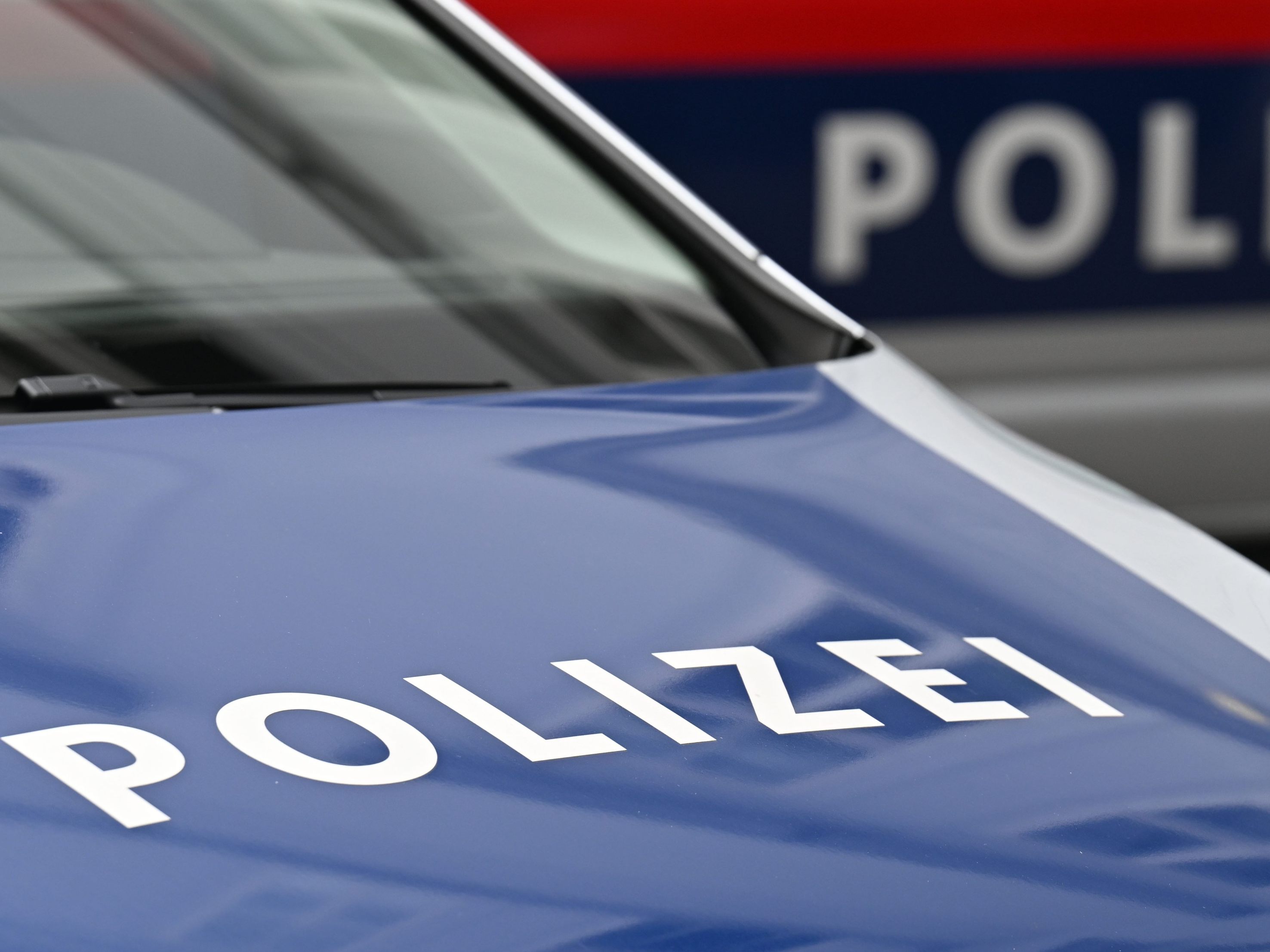 Peršmanhof erlebte Polizeieinsatz. Peršmanhof erlebte Polizeieinsatz.