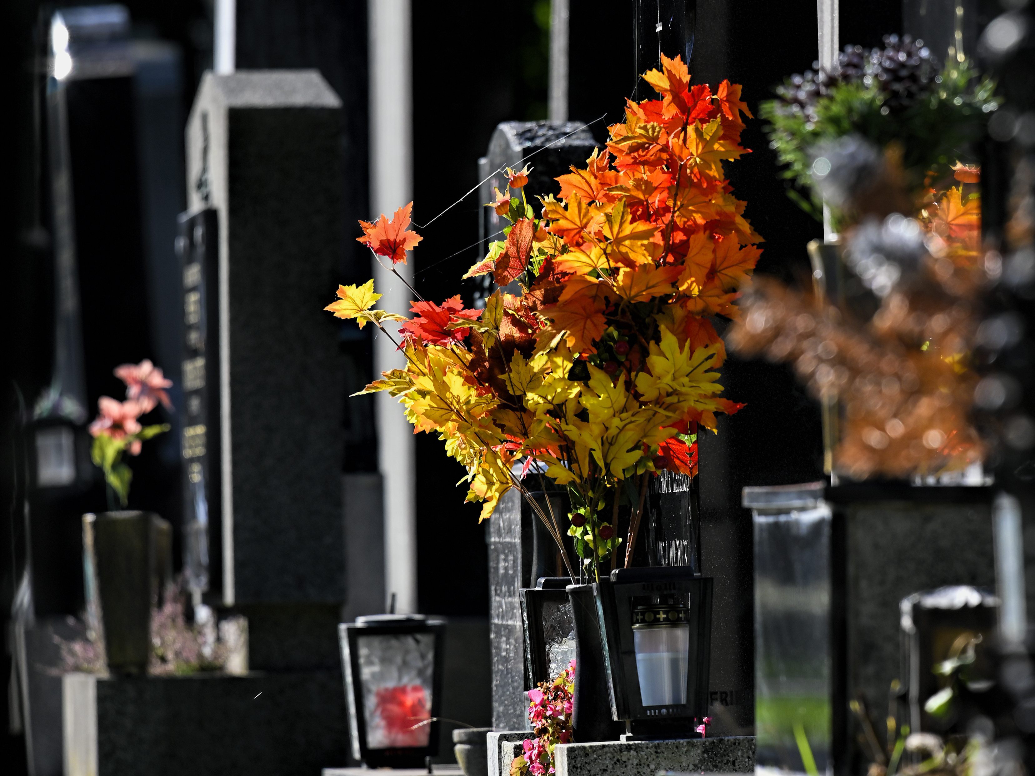 Die Allerheiligenmärkte in Wien bieten Kränze und Blumenschmuck.