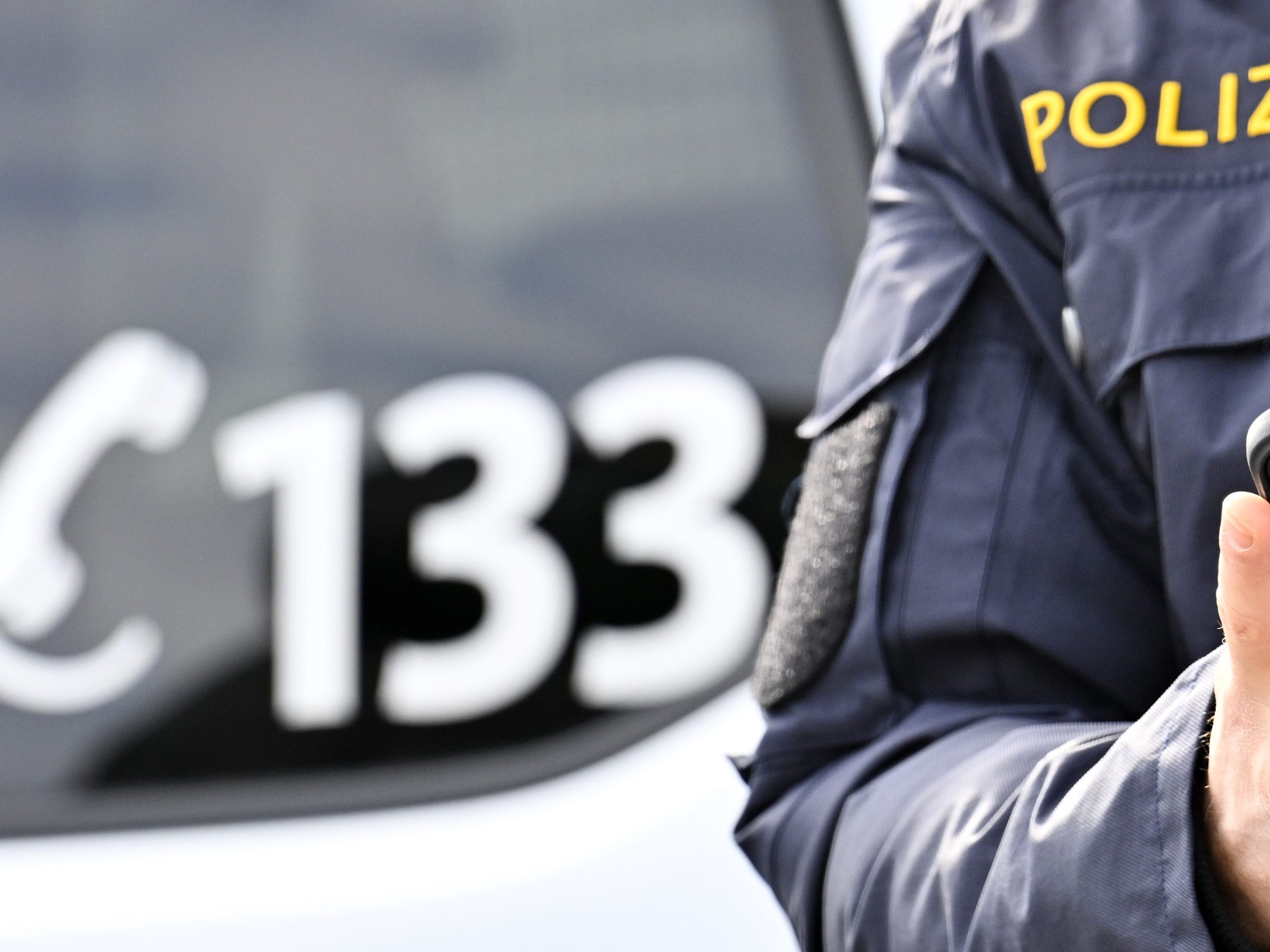 Das Duo wurde vorläufig festgenommen. Das Duo wurde vorläufig festgenommen.