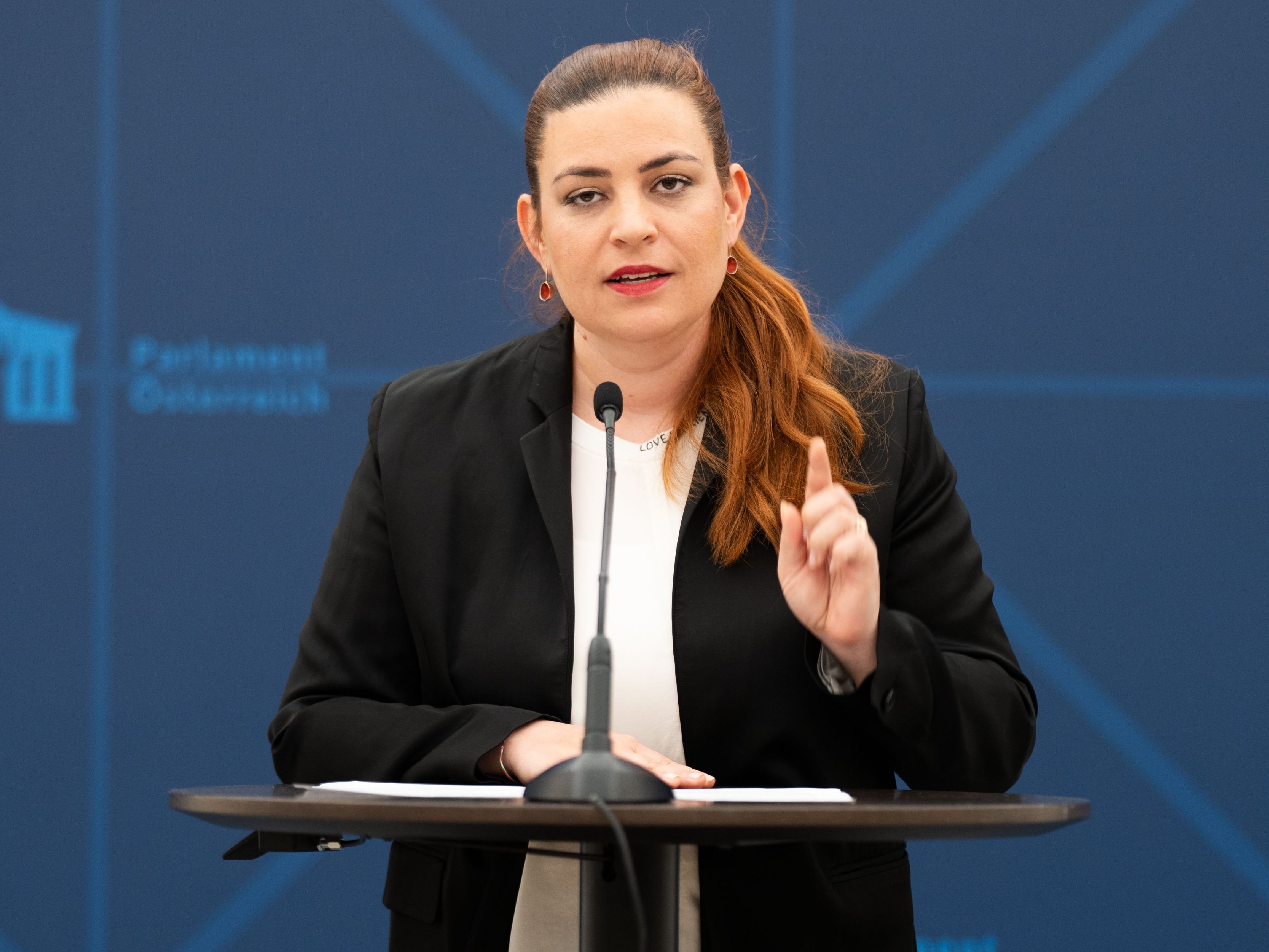 Die Grünen werfen der Regierung Untätigkeit bei der Betrugsbekämpfung vor. Die Grünen werfen der Regierung Untätigkeit bei der Betrugsbekämpfung vor.