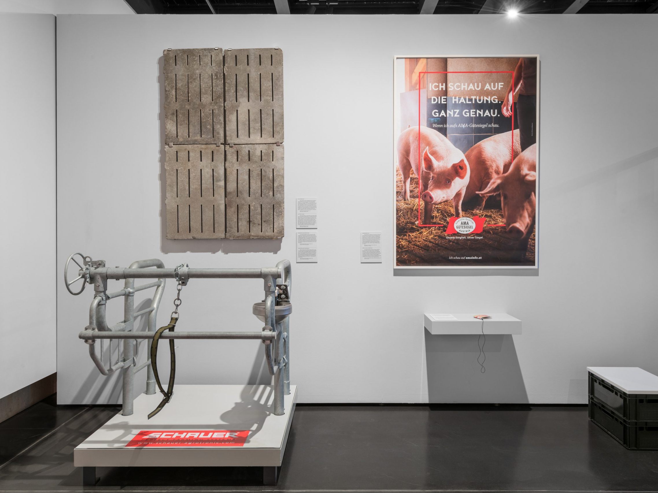 Die Ausstellung beleuchtet die Themen Tierhaltung, Produktion und Diskussionen.