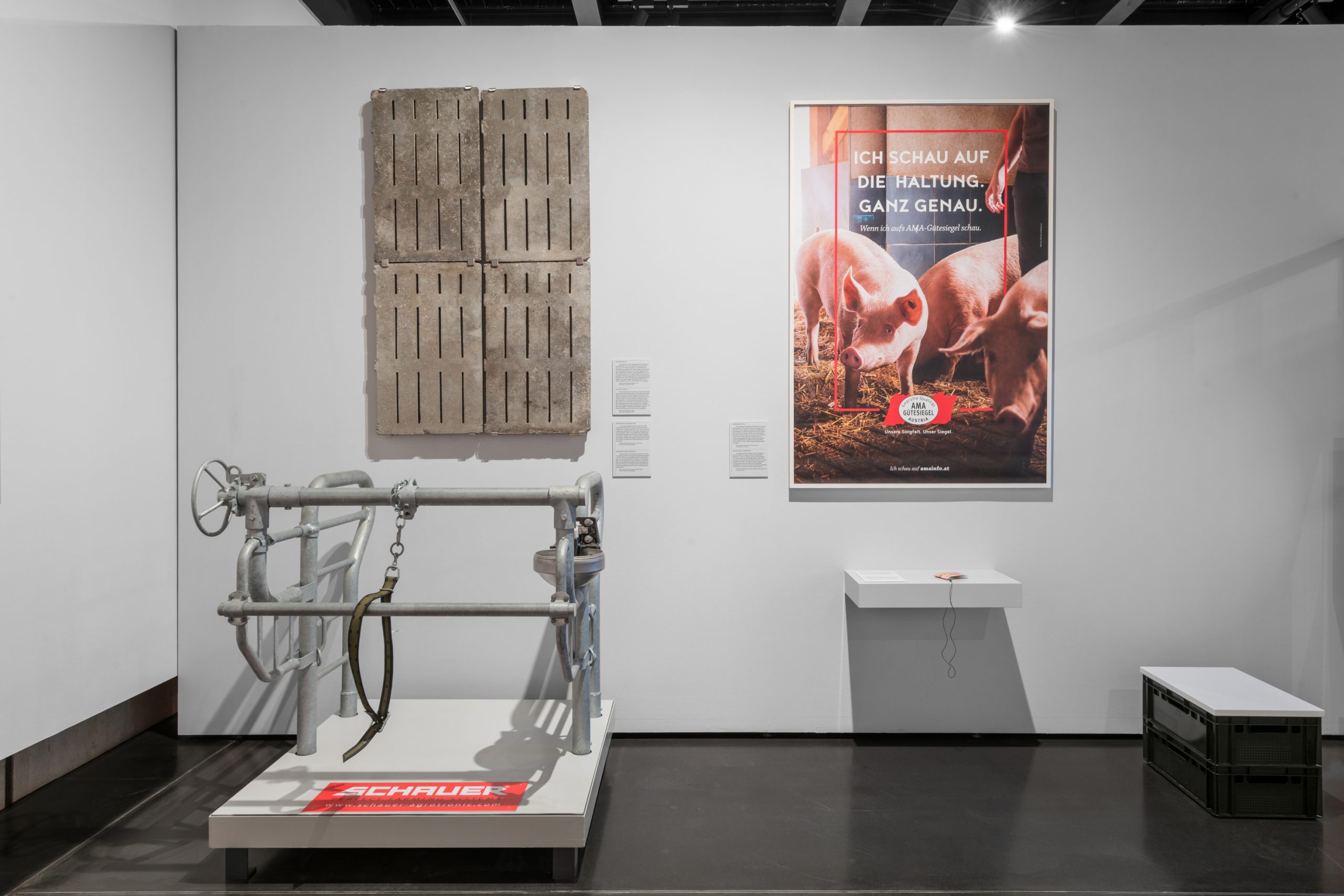 Wien Museum widmet Fleisch eigene Ausstellung