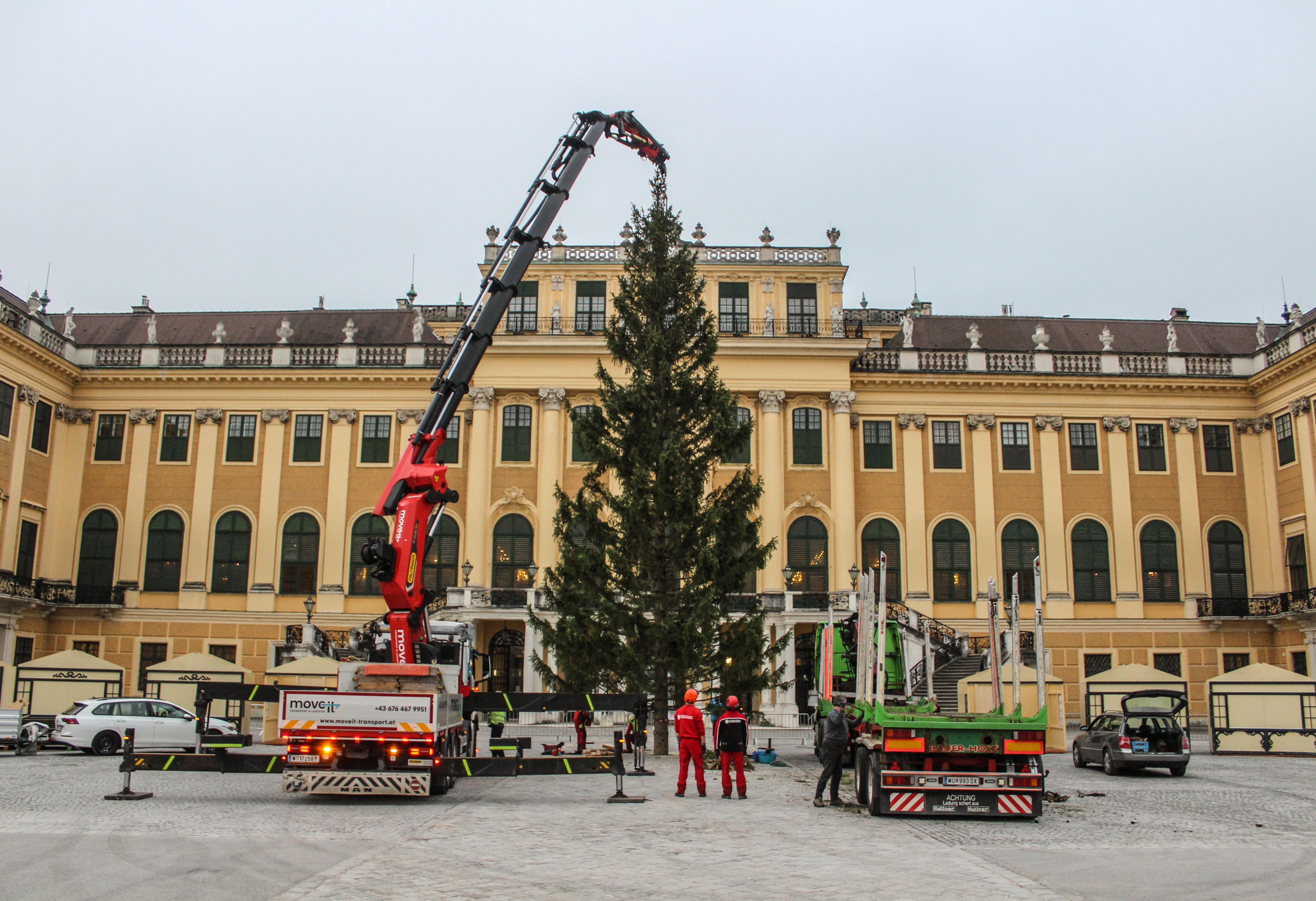 Festlicher Vorbote: Wiener Schloss Schönbrunn hat seinen Christbaum