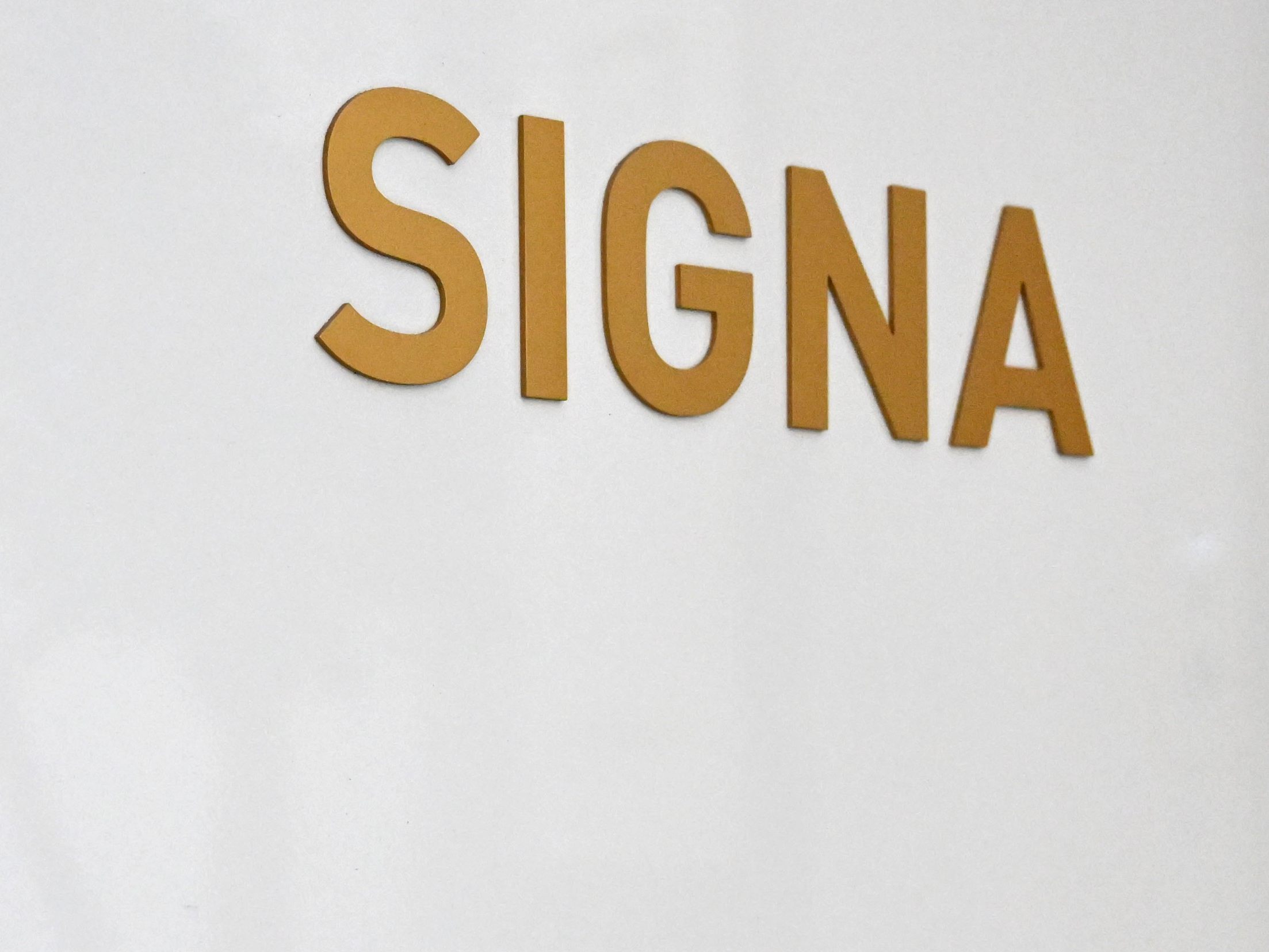 Die Signa-Gläubiger fordern über 40 Mrd. Euro. Die Signa-Gläubiger fordern über 40 Mrd. Euro.