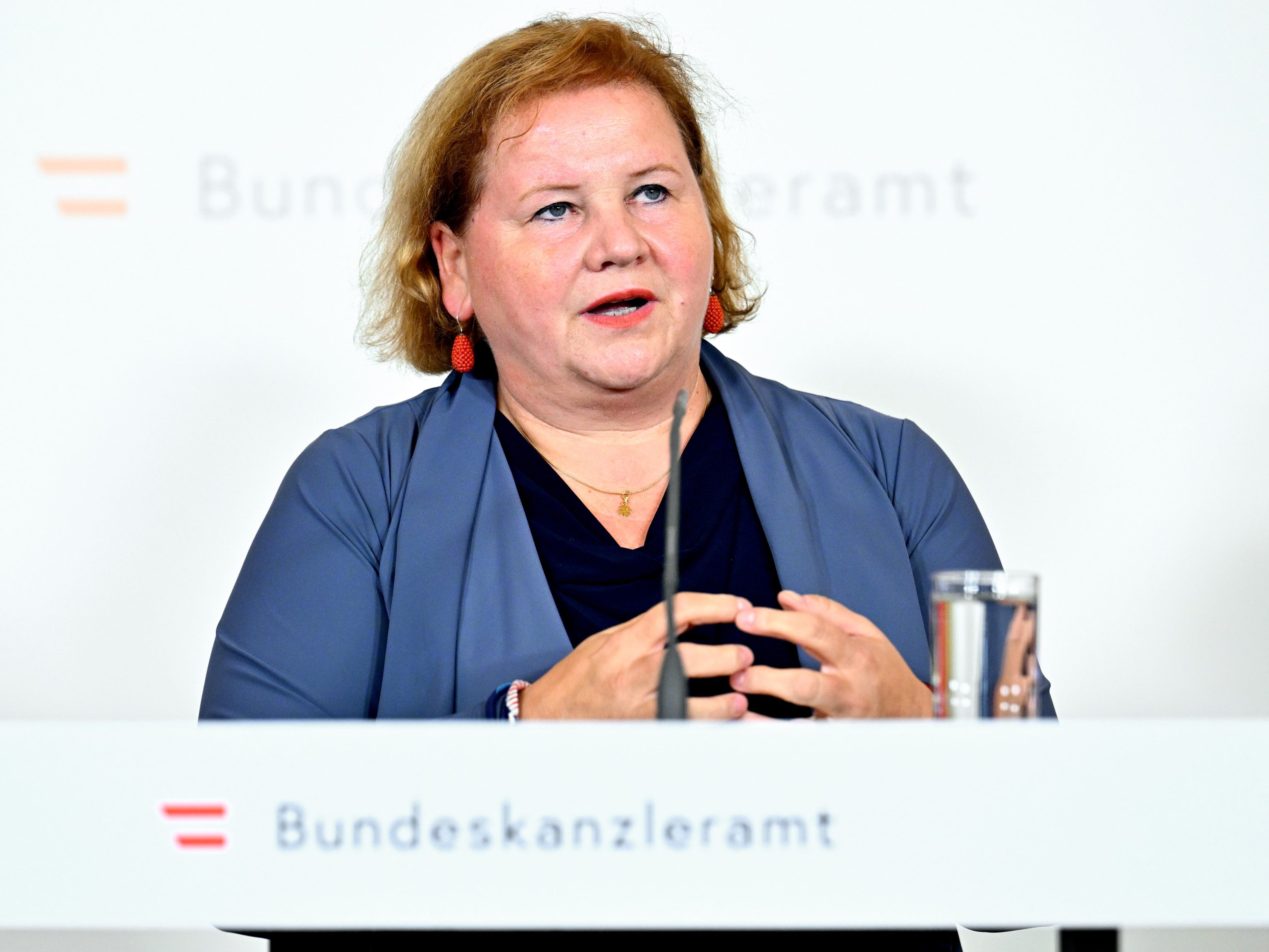 Korinna Schumann sprach von einem wichtigen Schutz für freie Dienstnehmer. Korinna Schumann sprach von einem wichtigen Schutz für freie Dienstnehmer.