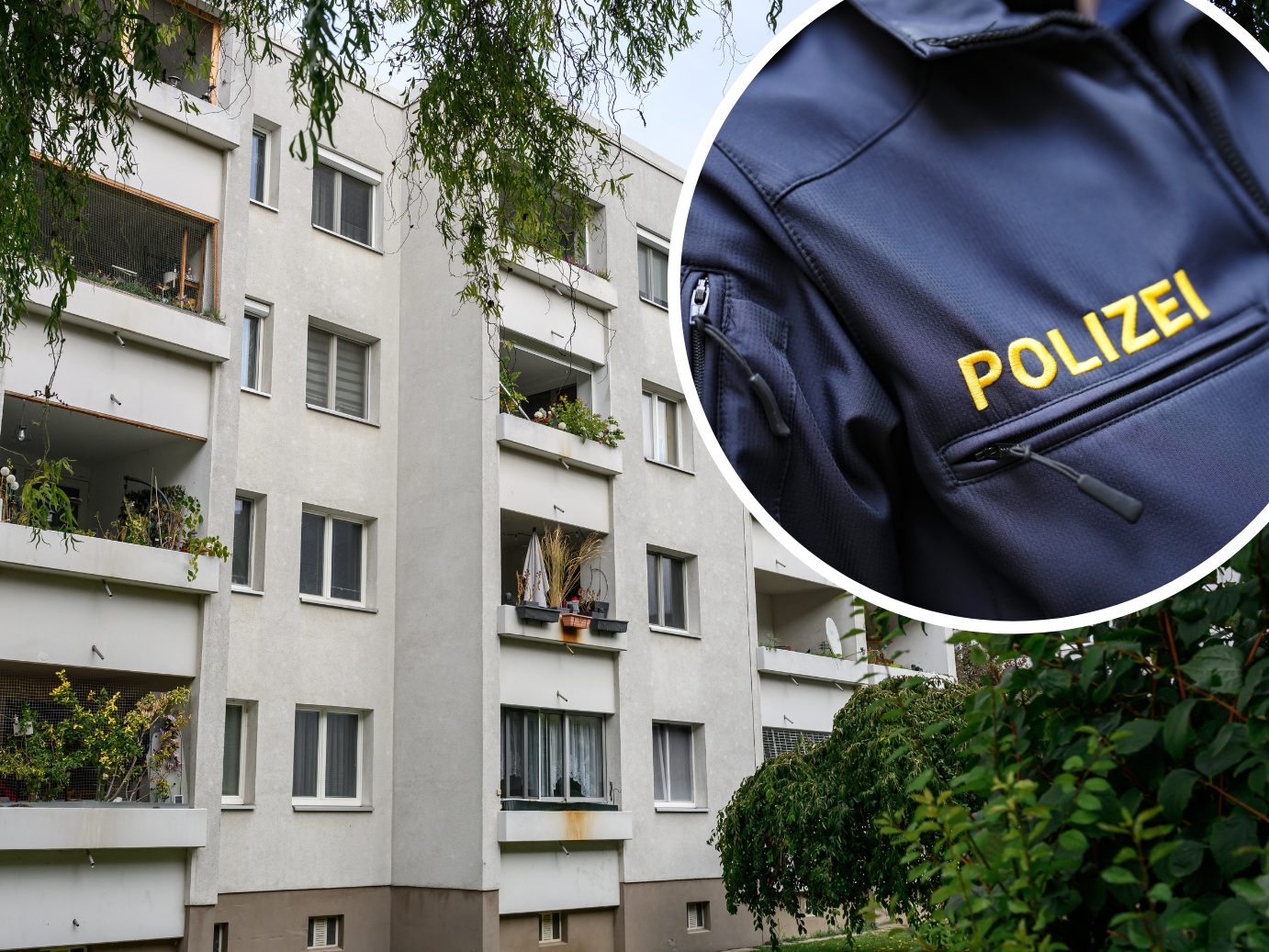Die U-Haft über den 50-Jährigen wurde in Aussicht gestellt. Die U-Haft über den 50-Jährigen wurde in Aussicht gestellt.