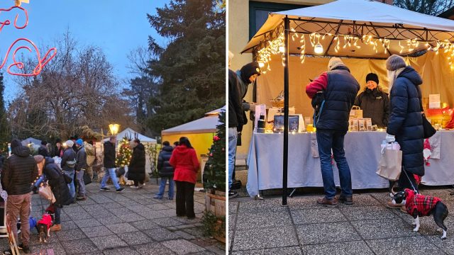 Image for Wiener Hundeweihnachtsmarkt lädt wieder ein: Alles für Vierbeiner und Halter
