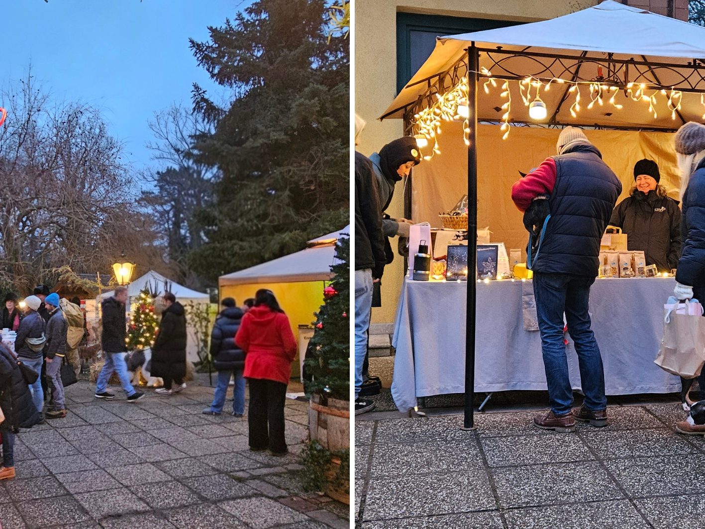 Der Hundeweihnachtsmarkt in Mauer findet auch heuer wieder statt. Der Hundeweihnachtsmarkt in Mauer findet auch heuer wieder statt.