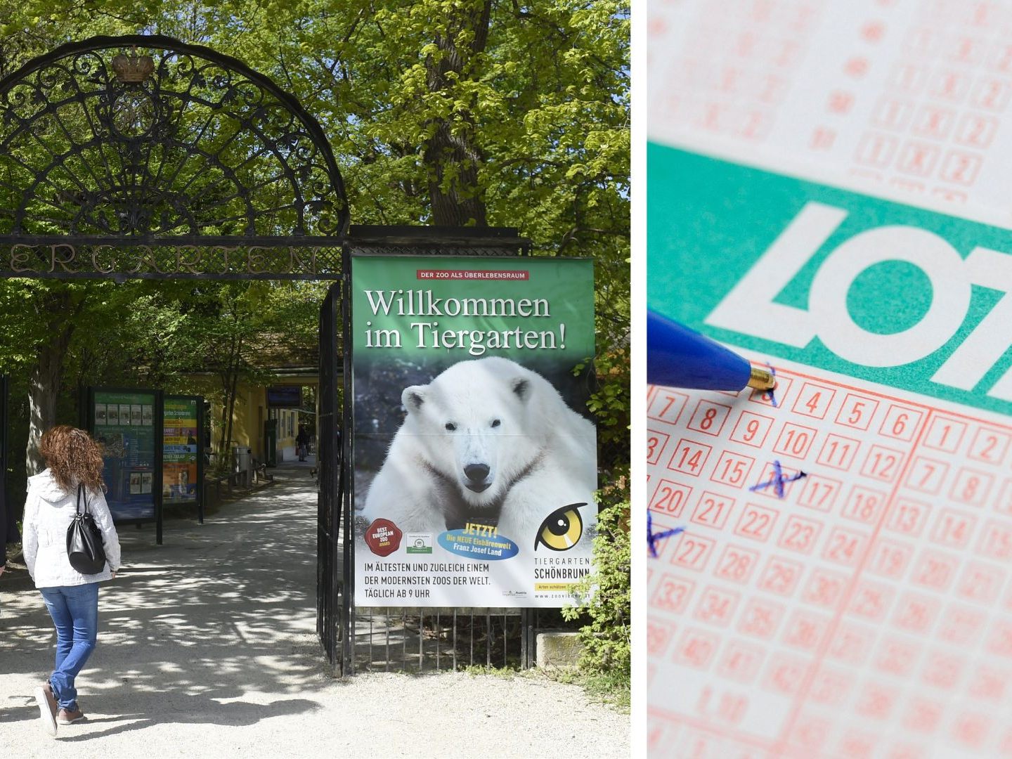 Am Freitag darf man mit einem Produkt der Österreichischen Lotterien gratis in den Wiener Tiergarten Schönbrunn.