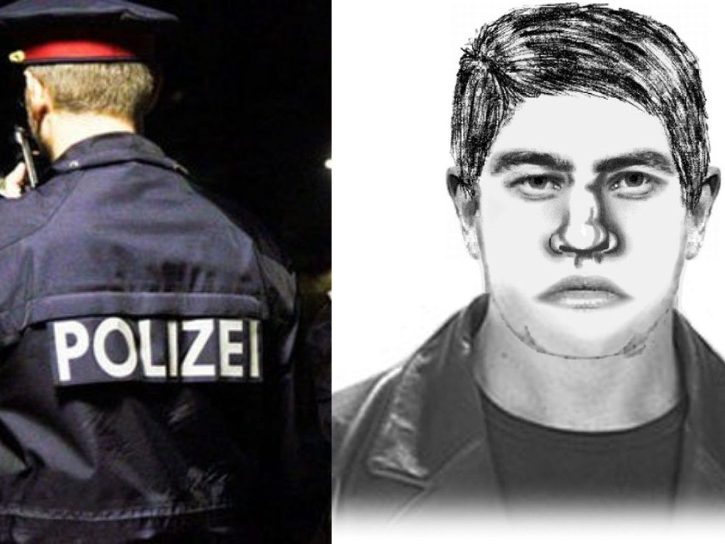 Im niederösterreichischen Bezirk St. Pölten kam es zu einer versuchten Vergewaltigung.