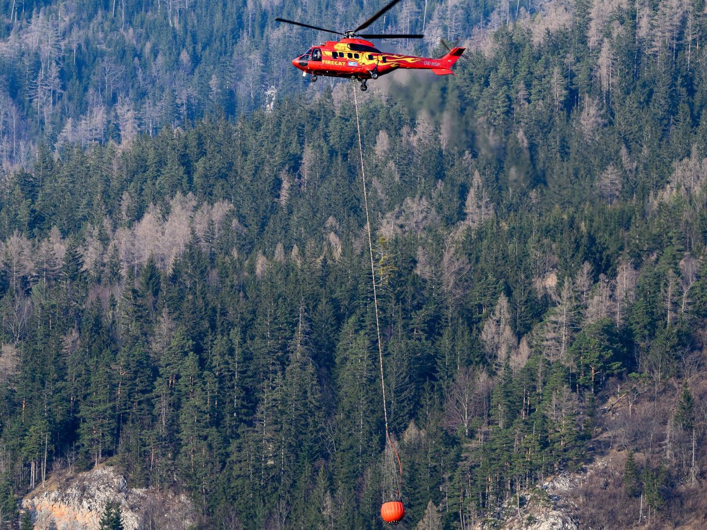 In Österreich wird es immer häufiger zu Waldbränden kommen. In Österreich wird es immer häufiger zu Waldbränden kommen.
