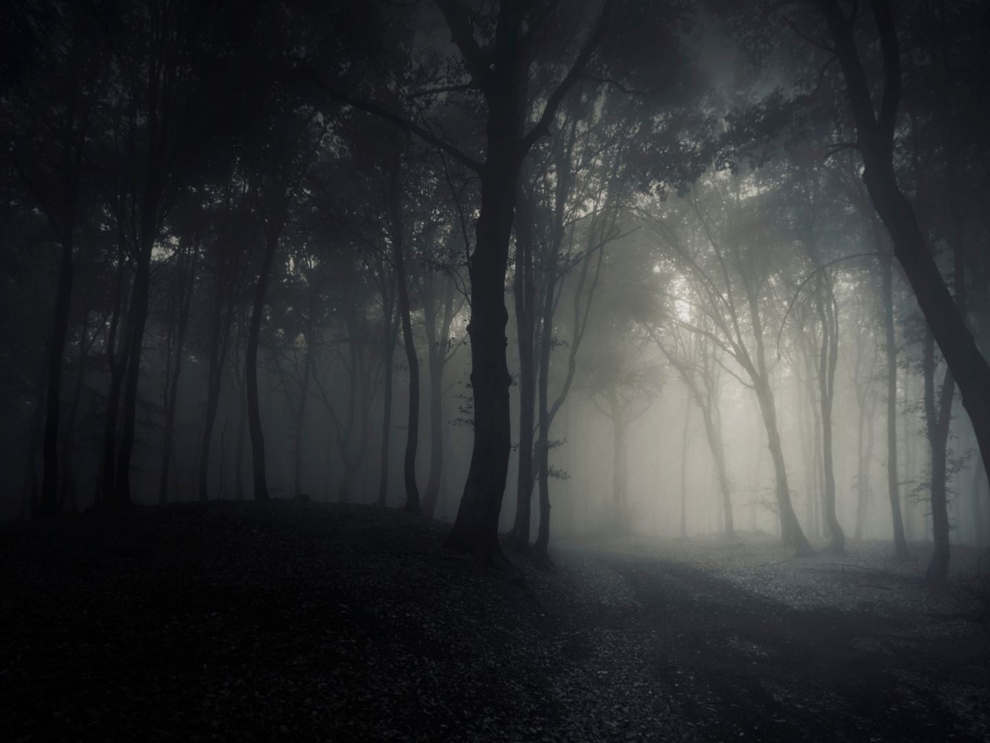 Die abgängige 78-Jährige wurde tot in einem Bachbett gefunden.