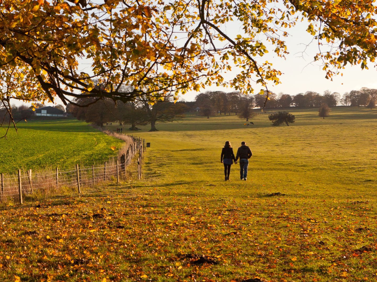 Das Wochenende bringt herbstliches und unbeständiges Wetter. Das Wochenende bringt herbstliches und unbeständiges Wetter.