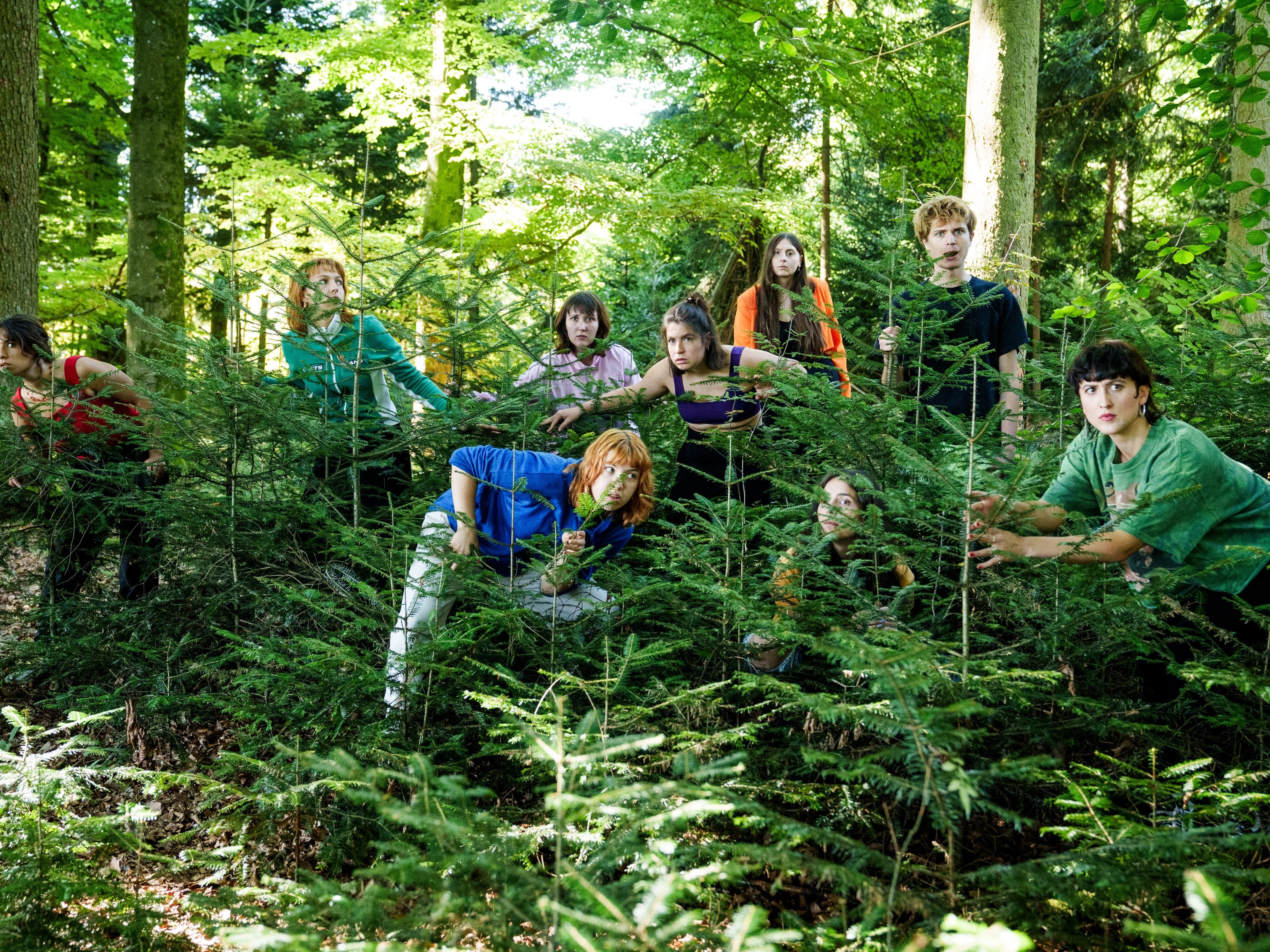 Die Natur erobert sich ihren Lebensraum zurück!