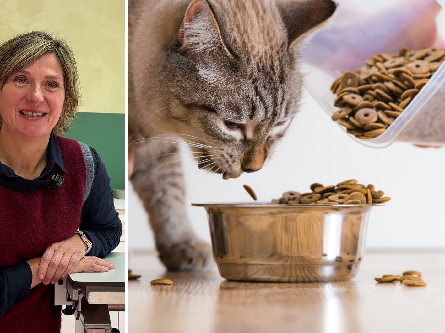 Worauf sollte man beim Füttern von Katzen achten, Frau Warter?
