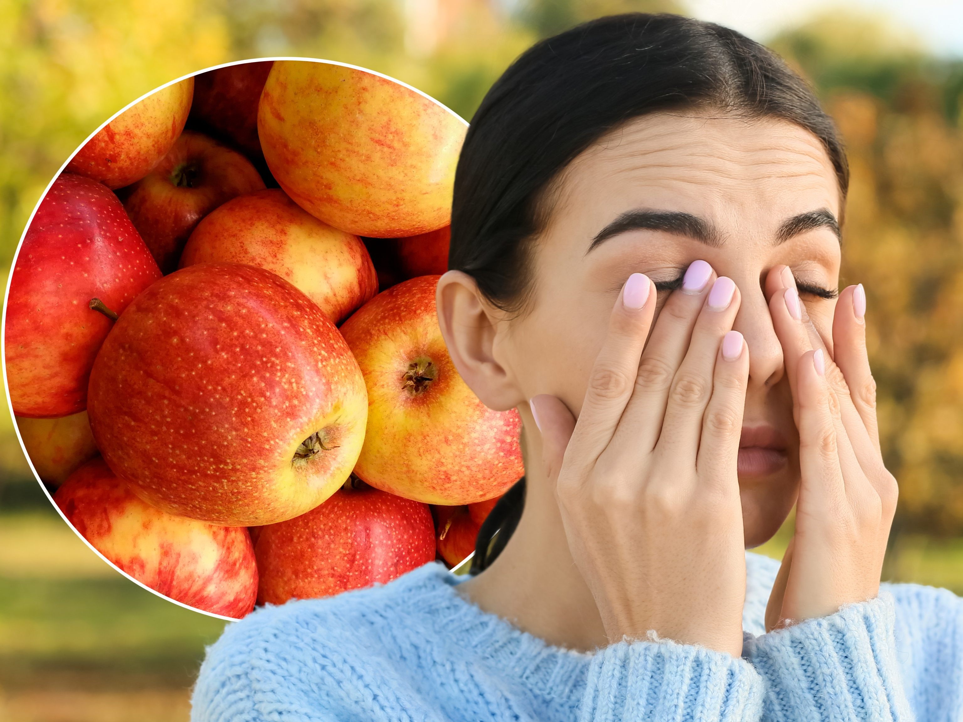 Allergenarme Äpfel: Neue Sorten geben Allergikern Hoffnung