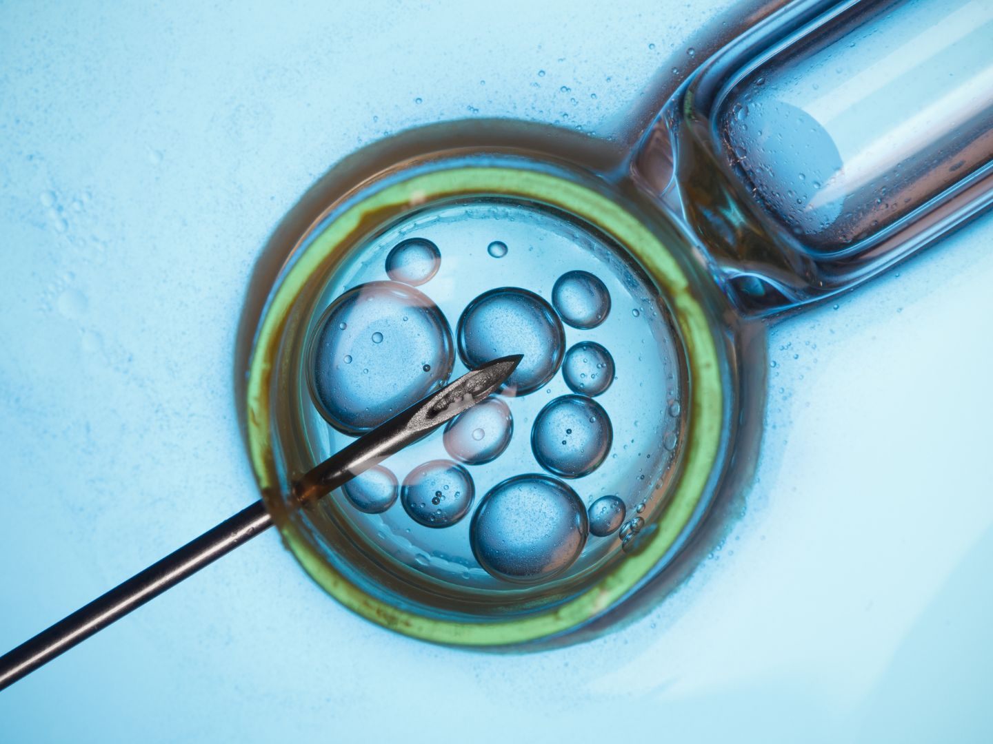 Das Verbot von "Social Egg Freezing" ist laut VfGH verfassungswidrig.