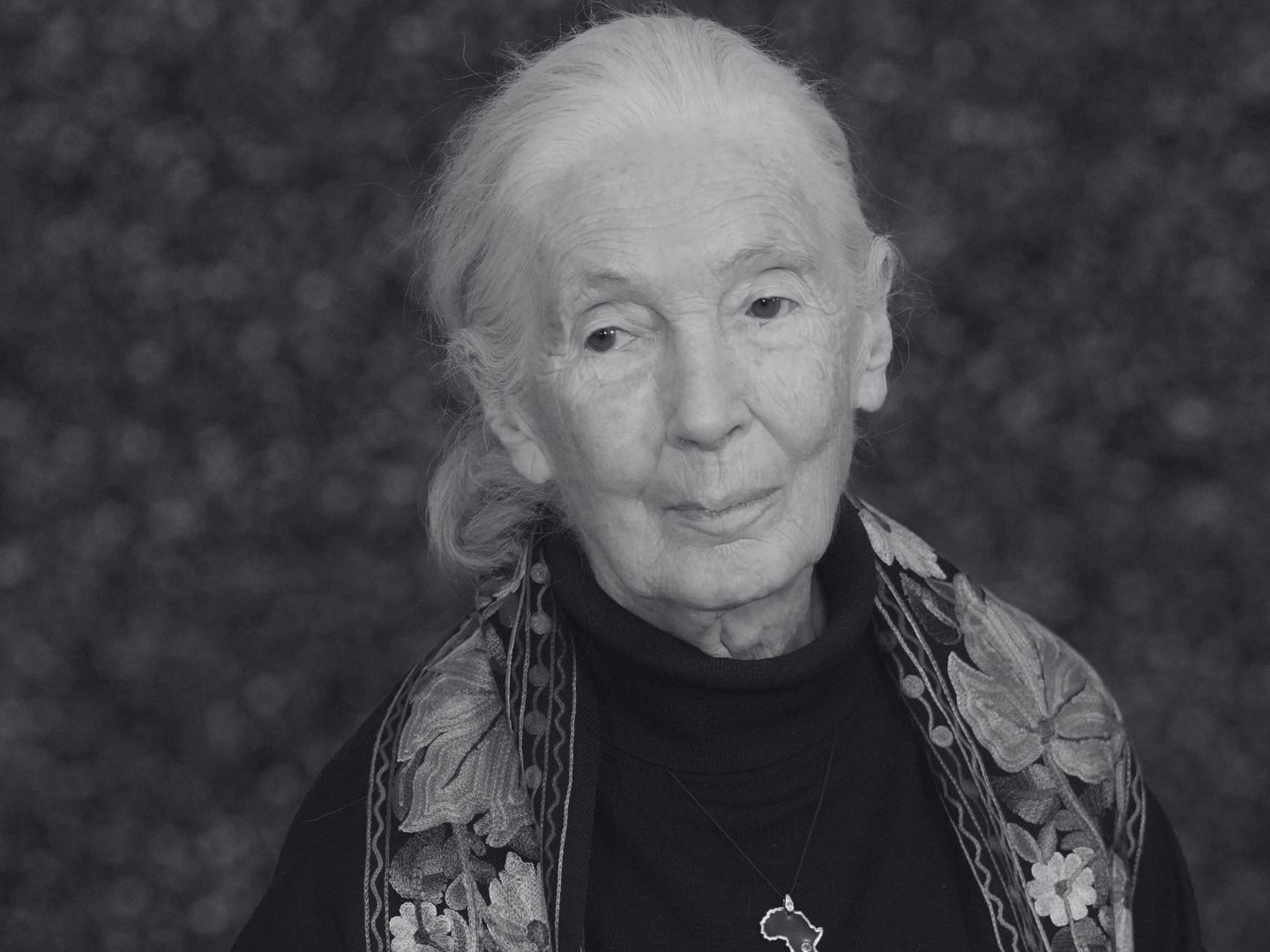 Weltberühmte Affen-Forscherin Jane Goodall ist tot. Weltberühmte Affen-Forscherin Jane Goodall ist tot.