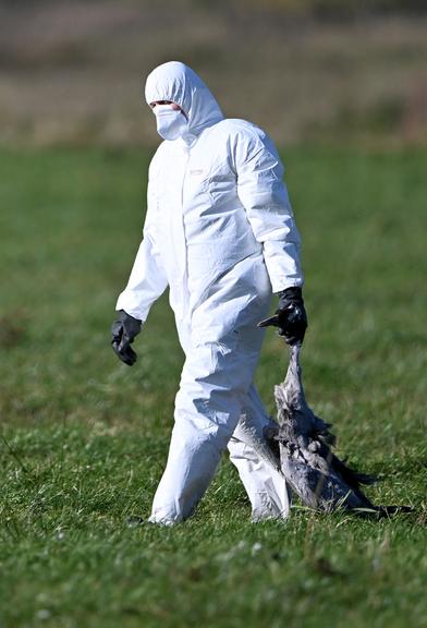 ©AFP