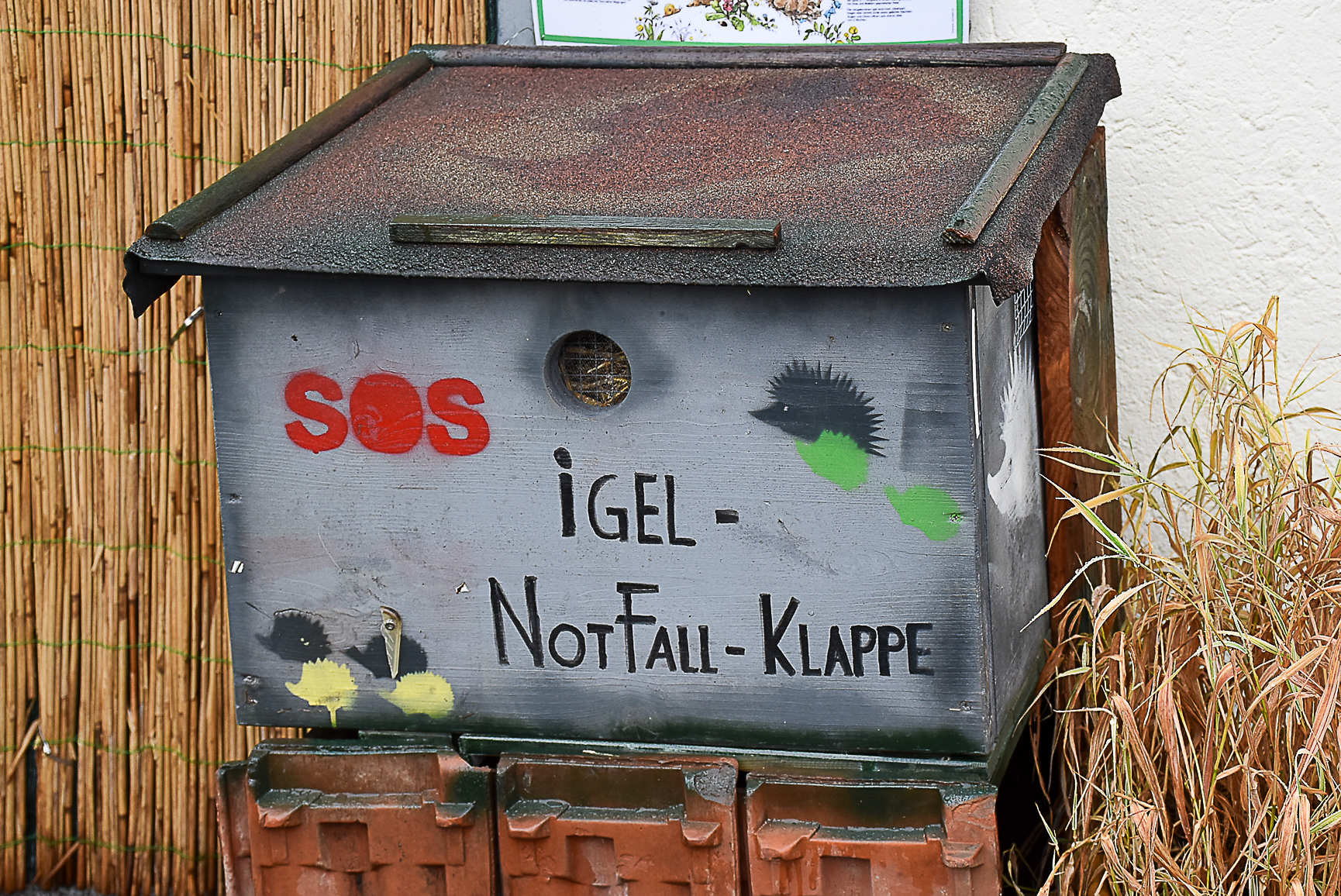 In der Igelklappe können verletzte oder verwaiste Igel rund um die Uhr sicher abgegeben werden. In der Igelklappe können verletzte oder verwaiste Igel rund um die Uhr sicher abgegeben werden.