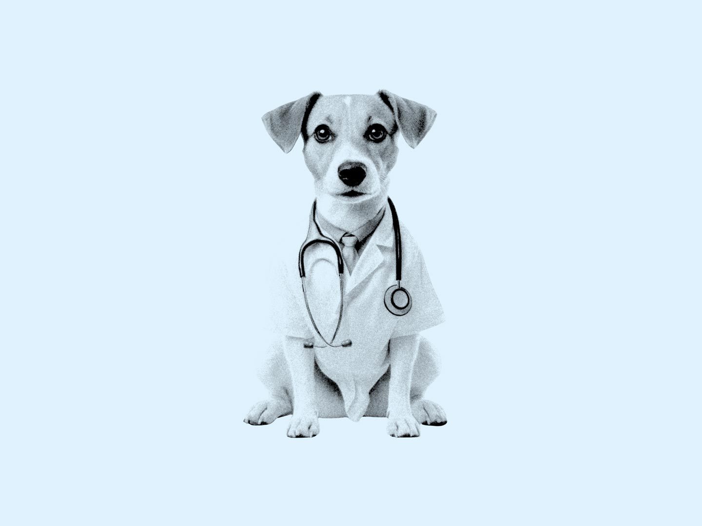 Du bist krank und fühlst dich hundeelend? Das musst du jetzt wissen.