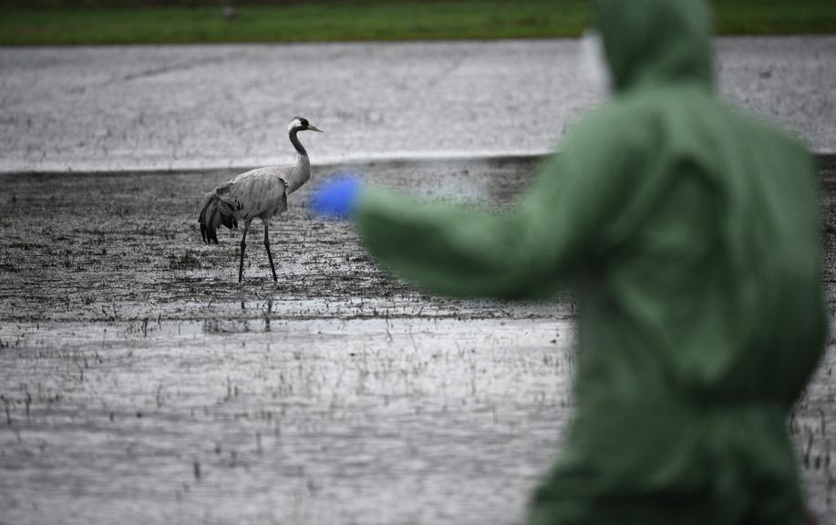 ©AFP