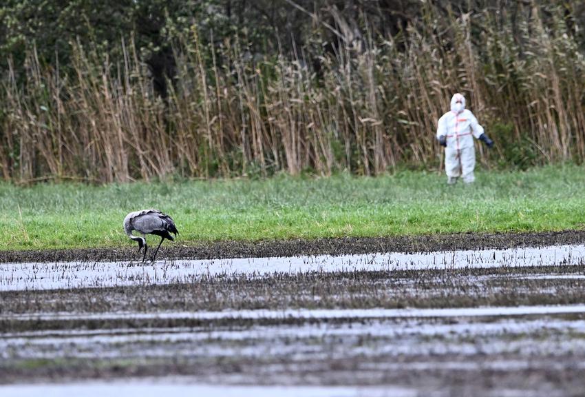 ©AFP