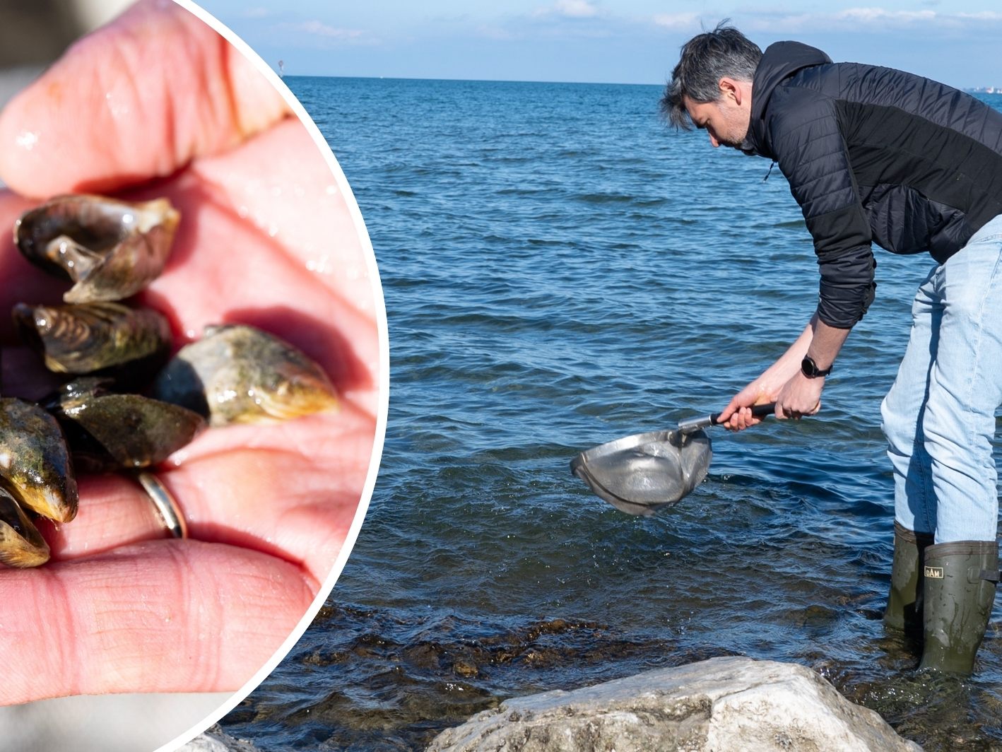 Alexander Düregger (Bild) vom Vorarlberger Umweltinstitut kennt sich mit den Quagga-Muscheln aus. Alexander Düregger (Bild) vom Vorarlberger Umweltinstitut kennt sich mit den Quagga-Muscheln aus.