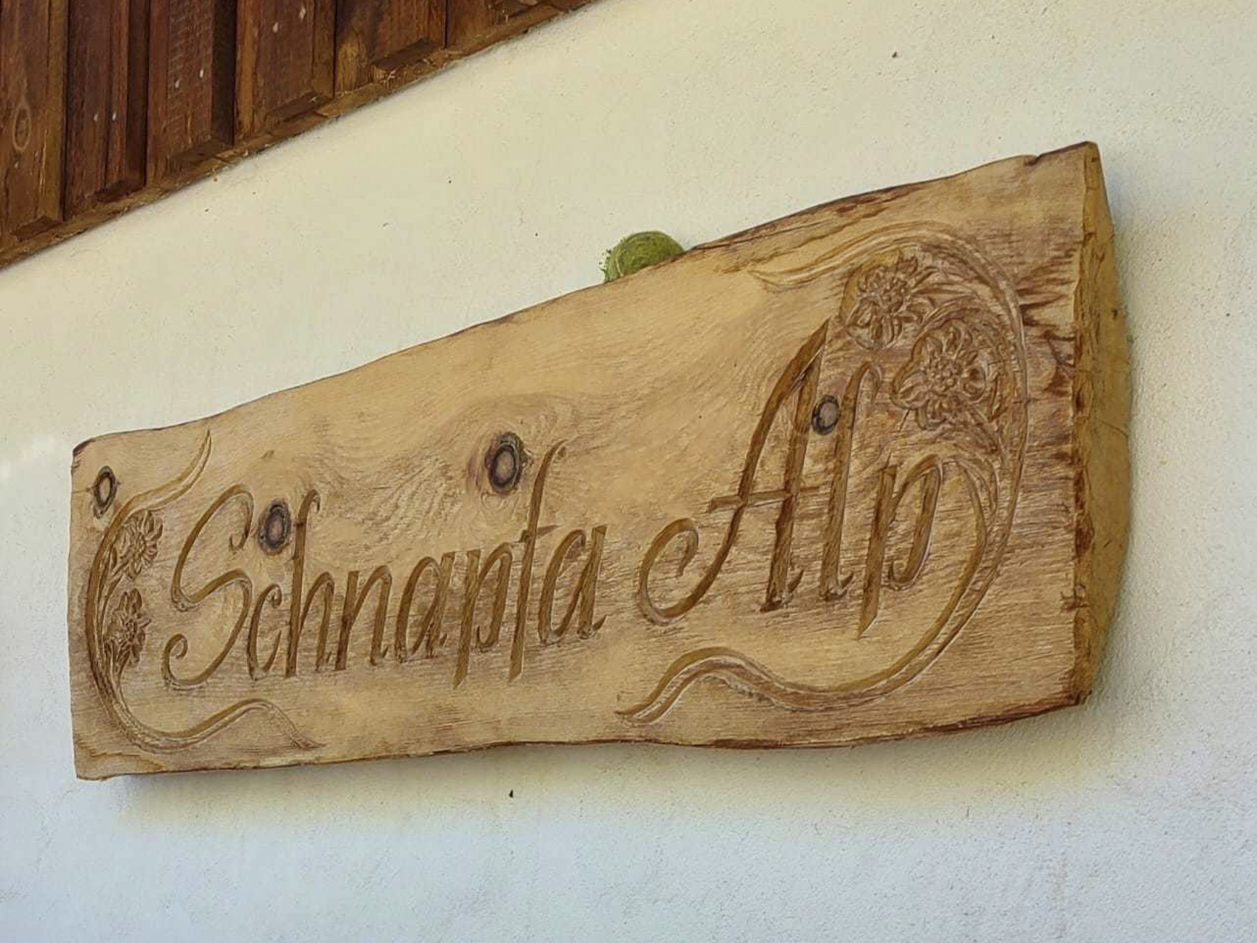 Göfner Schnapfa-Alp im Jam-Tal