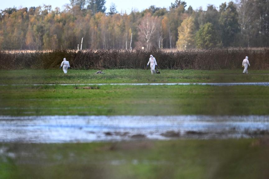 ©AFP