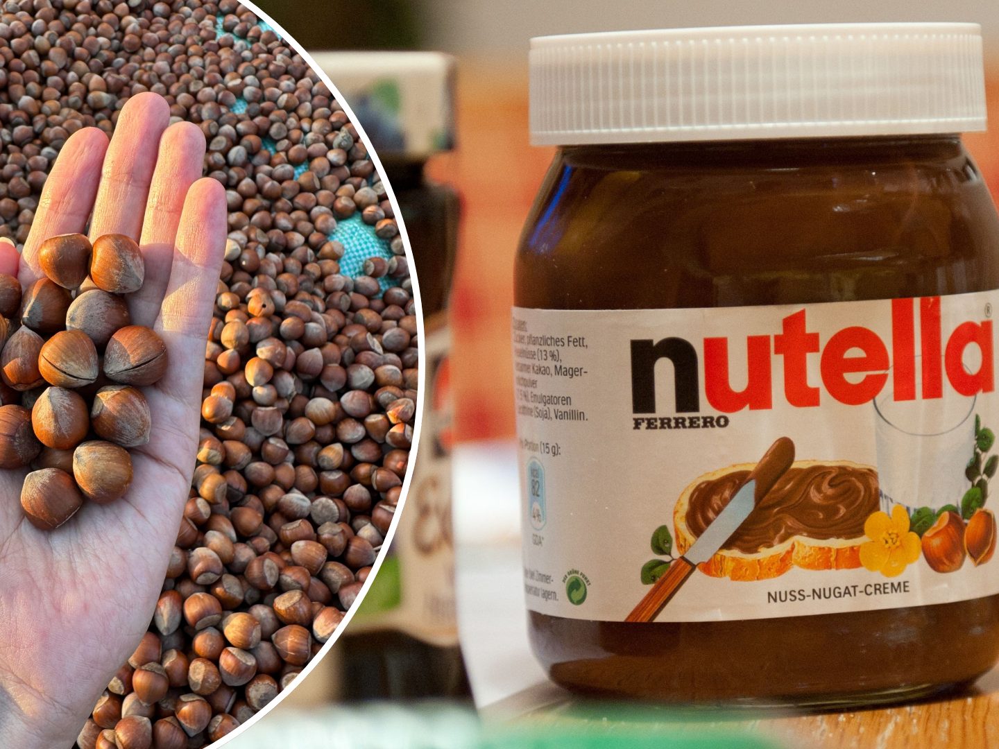 Italiens Haselnussernte ist eingebrochen, die Preise für Nusscremes und Nussschokolade ziehen deutlich an.