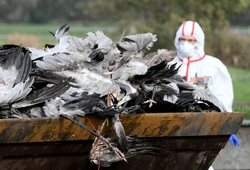 ©AFP