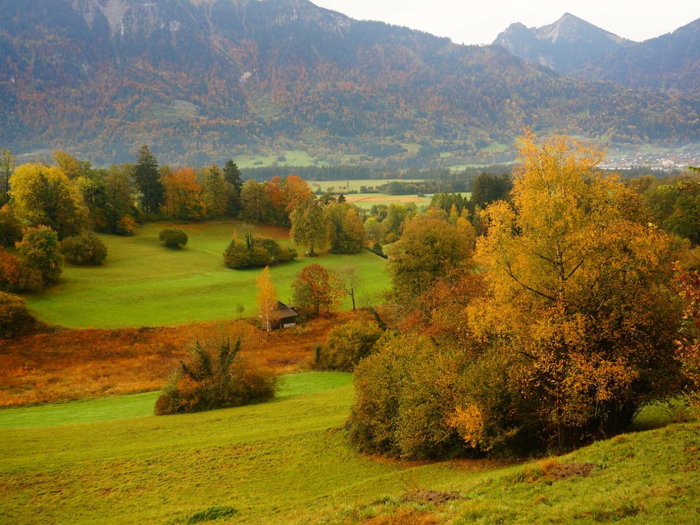Herbstliche Aussichten auf dem Literaturweg