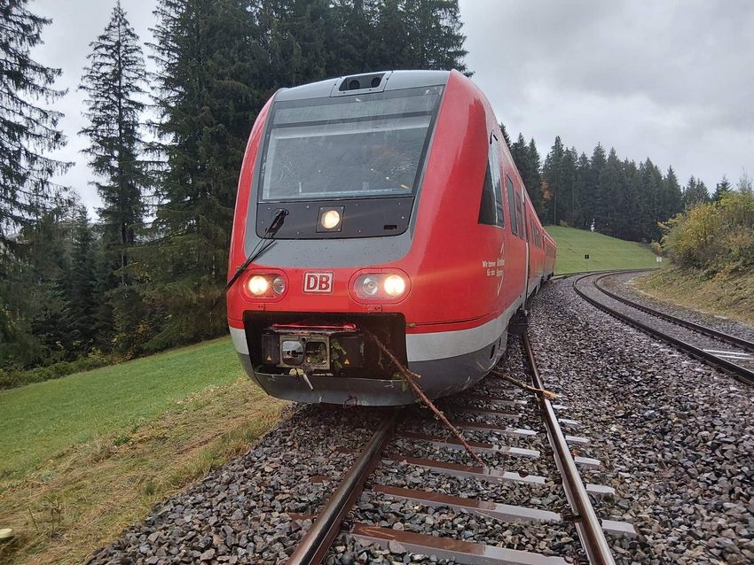 Ein Regionalzug entgleiste bei Heimhofen nach der Kollision mit einem Baum. Verletzt wurde niemand. Die Polizei untersucht den Unfallhergang.