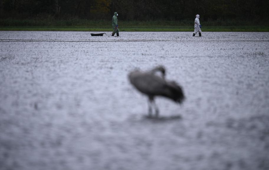 ©AFP